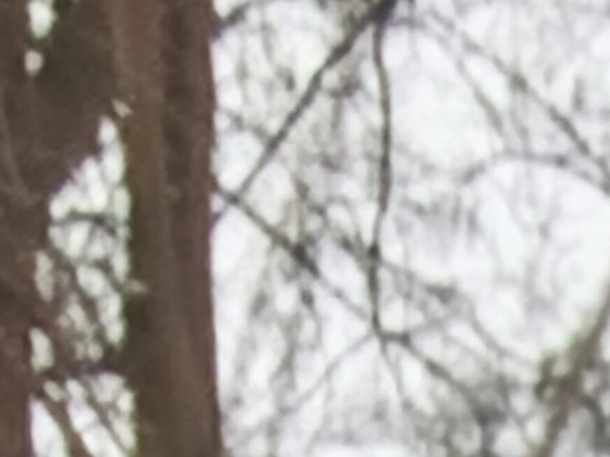 Profilfoto von Stella aus Frankfurt (Oder)